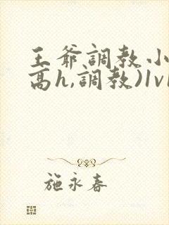 王爷调教小说(高h,调教)1v1