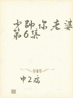 少帅你老婆又跑第6集