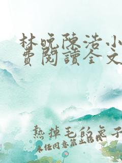 林晚陈浩小说免费阅读全文最新章节