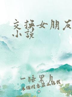 交换女朋友系列小说