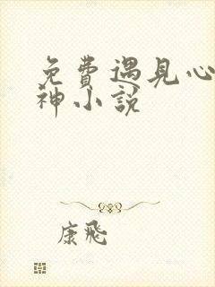 免费遇见心软的神小说