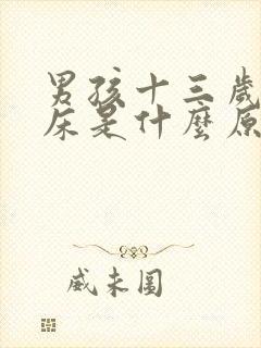 男孩十三岁还尿床是什么原因