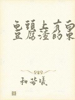 龟头上有白色像豆腐渣的东西