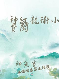 神级龙卫小说免费阅