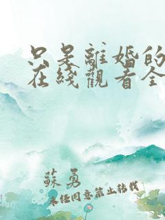 只是离婚的关系在线观看全集免费播放