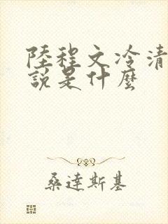 陆程文冷清秋小说是什么