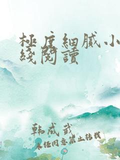 极度细腻小说在线阅读