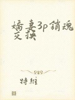 娇妻3p销魂的交换