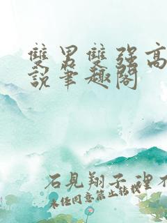 双男双强高干小说笔趣阁