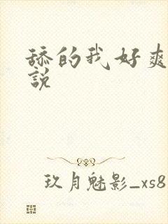 舔的我好爽的小说
