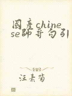 国产chinese帅哥勾引男同性恋guy性视频