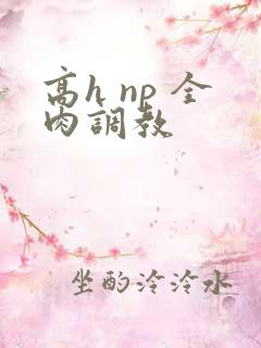 高h np 全肉调教