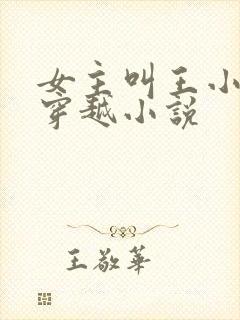 女主叫王小小的穿越小说