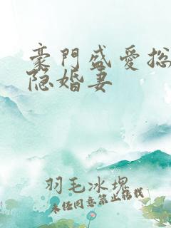 豪门盛爱总裁的隐婚妻