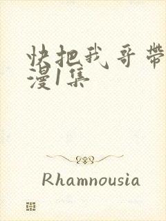 快把我哥带走动漫1集