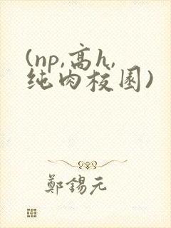 (np,高h,纯肉校园)