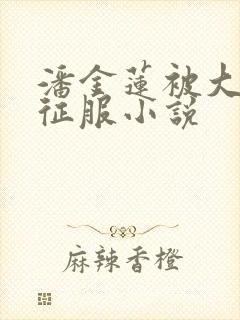 潘金莲被大肉楱征服小说