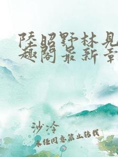 陆昭野林见疏笔趣阁最新章节更新