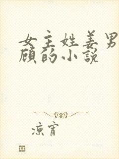 女主姓姜男主姓顾的小说