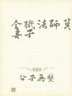 全职法师莫凡的妻子