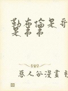 勒布伦是哥哥还是弟弟