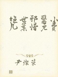 绝世邪医小说林凡叶惜免费阅读全文