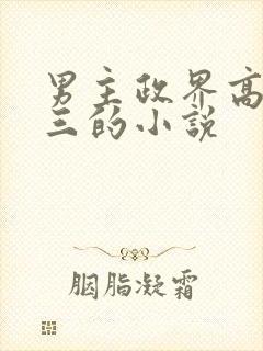 男主政界高干小三的小说