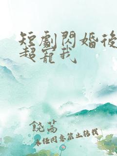 短剧闪婚后大叔超宠我