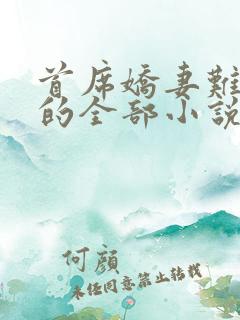 首席娇妻难搞定的全部小说