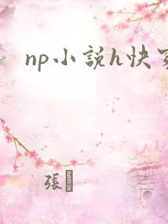 np小说h快穿