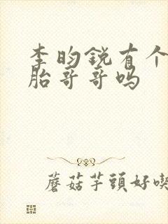 李昀锐有个双胞胎哥哥吗