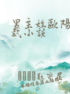 男主姓欧阳的总裁小说