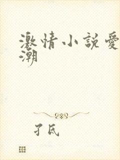 激情小说爱爱高潮