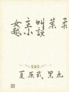 女主叫叶柔的穿越小说