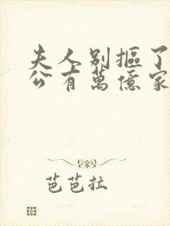 夫人别抠了你老公有万亿家产完整