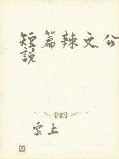 短篇辣文公交小说