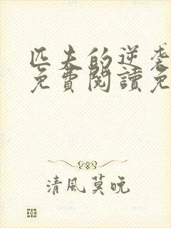 匹夫的逆袭全文免费阅读免费