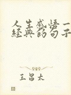 人生感悟一段很经典的句子