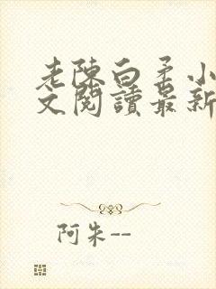 老陈白柔小说全文阅读最新章节内容