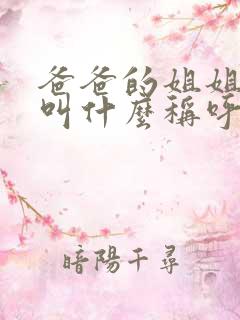 爸爸的姐姐丈夫叫什么称呼