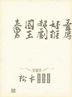 泰国超好看的双男主剧推荐