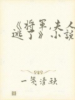 《将军,夫人又逃了》小说