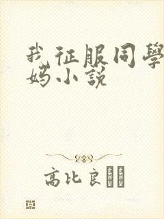 我征服同学的妈妈小说