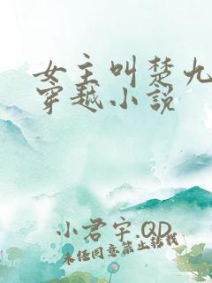 女主叫楚九歌的穿越小说