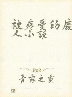 被疼爱的废物美人小说