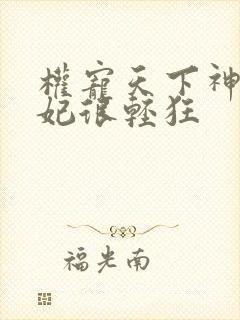 权宠天下神医毒妃很轻狂