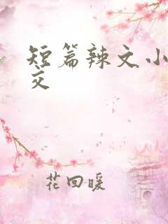 短篇辣文小说公交