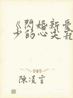 《闪婚新爱:季少的心尖宠》