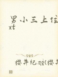 男小三上位记txt