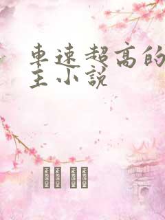 车速超高的双男主小说